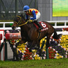 競馬初心者必見☆馬券予想🔥〜阪神大賞典〜長距離戦は騎手が重要！