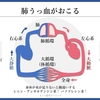 心不全を科学する