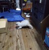 そろそろ