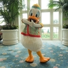 いろいろ変わってた！香港ディズニーランド（その１：ホテル編）