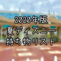 21年版 Withコロナ 冬ディズニーの持ち物を一挙ご紹介 究極雨女ほのぷーのディズニー放浪記