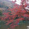 紅葉の三都を巡る～長岡京・平安京・大津京④