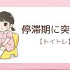 【トイトレ】停滞期到来！2歳10ヶ月ムスメのリアルレポート
