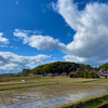 雨上がりの権現山