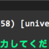 Vim で実行する ruby のバージョンについて