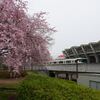 七北田公園（2025.4.20）