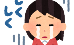 記事を見る