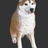 愛犬彫刻　クーちゃん　