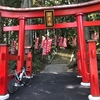 宇都宮市森林公園の駐車場は拡張中