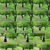 なるはちゃんのデータをAmazon Photosにアップロードしました！
