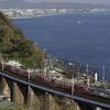 久しぶりの玉川橋梁（石橋）で安定の貨物列車