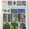 樹皮・葉でわかる樹木図鑑　菱山忠三郎