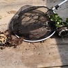 スズメバチの依頼が多くなってます