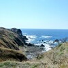 粟島を巡る☆粟島の海を馬が渡る？