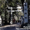 【社畜の休日】氷川神社に行ってきた【東京十社巡り⑦】