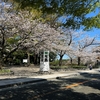 横浜公園でチューリップ、元町公園と港の見える丘公園で桜を見る〈2025〉
