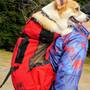 アクティブな愛犬家に！愛犬を背負えるリュックが便利で可愛い！（k9スポーツサックair）