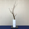 生花 | 桃