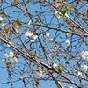 この時期に