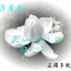 薄月夜　花くちなしの　匂ひけり