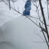 大雪とブロック解除と雪かきと...