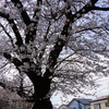 みゆき台公園（相模原市南区御園）