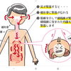 大声を出すと、体が浄化される