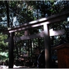 大神神社写真館（８/２２）