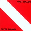 「Diver Down」／VAN HALEN