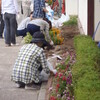 秋冬の植え替え