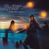 Edguy「King Of Fools」