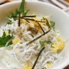ふっくらやわらか、春のしらすを堪能。粒がそろって甘い阪南しらすでしらす丼