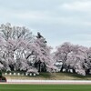 むすこがやっと年金の学生納付特例申請に行った