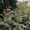 明日（１０月６日）は講習会です