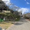 館山公園散歩