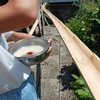 “涼”と“熱”の夏ごはん