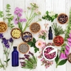 Beautiful Scents Make Your Relationship With Everyone Too Healthy