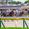 初めての競馬場