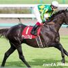 サトノノブレスのフランスでの鞍上はコンビ2戦2勝の川田将雅騎手