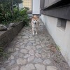 おかえりなさいエスパルスさん😊🌟