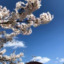 花見小屋