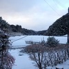 今朝は大根がしみる（凍る）ほどの寒さ、雪も積もりました。