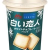 白い恋人アイス食べたい(º﹃º )