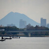 早春の膳所公園・近江大橋界隈その６