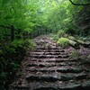 涼を求めて奥多摩「三頭山」へ！ブナの路で天然クーラー登山