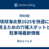 琉球海炎祭2025を快適に見るための穴場スポットと駐車場最新情報