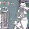 体質と言葉２