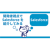 開発者視点でSalesforceを紹介してみる