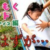 10月16日の動画