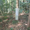 竹伐り；　スサノオ神社跡